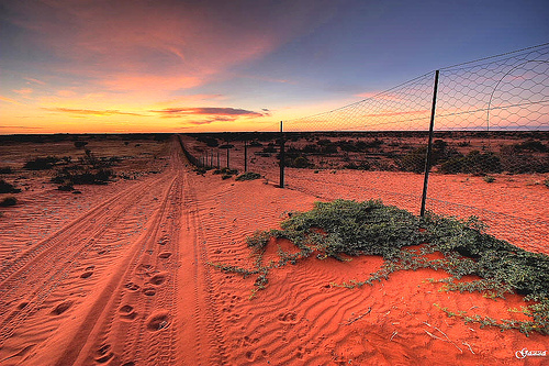 Strzelecki Desert photography location guide - FreePhotoGuides.com